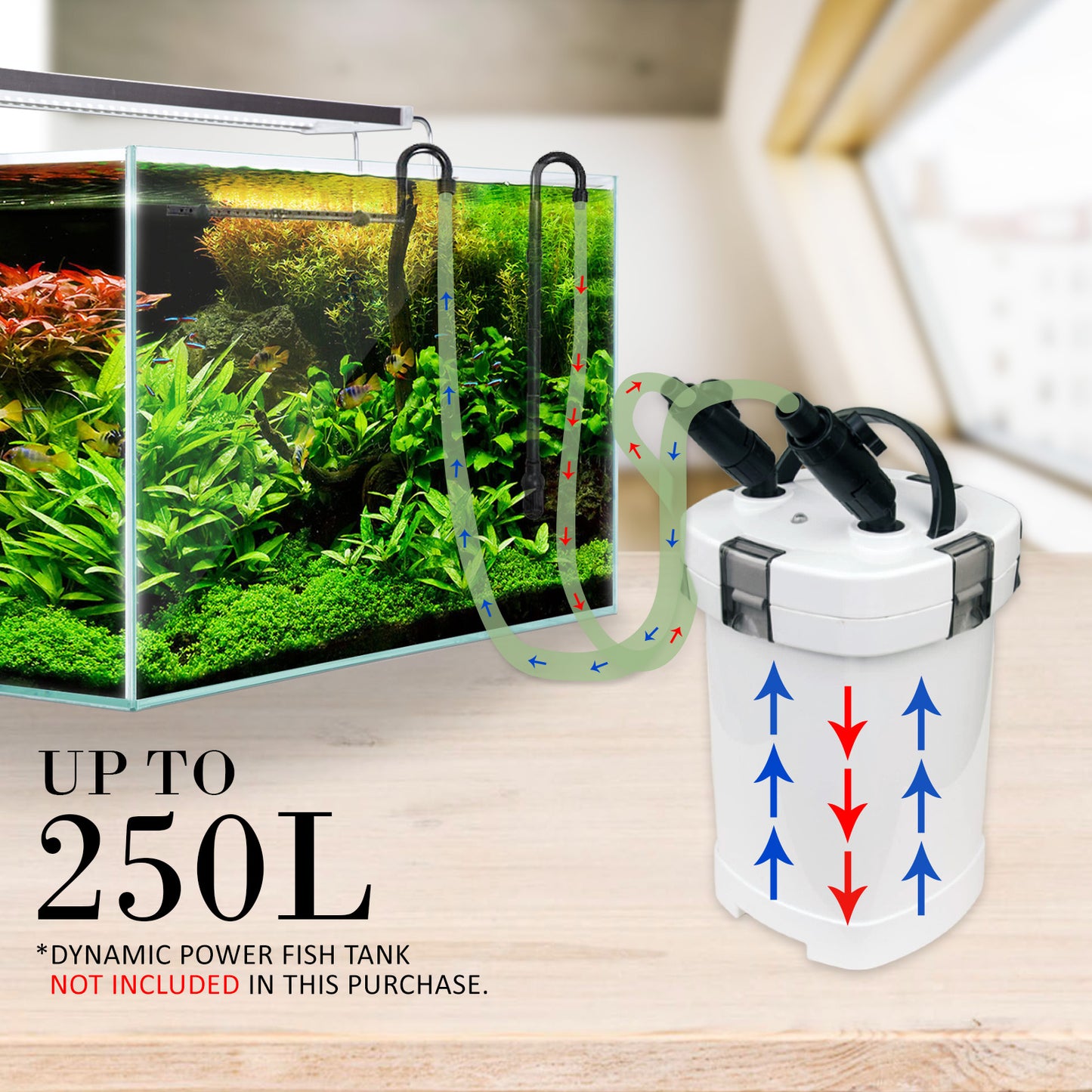 Dynamic Power Aquarium External Canister Filter 1000L/H