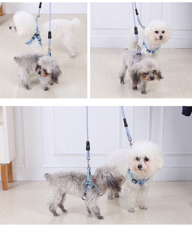 YES4PETS 2 X Medium Pet Dog Cat Puppy Kitten Rabbit Dog Harness Collar leash lead 3 Color
