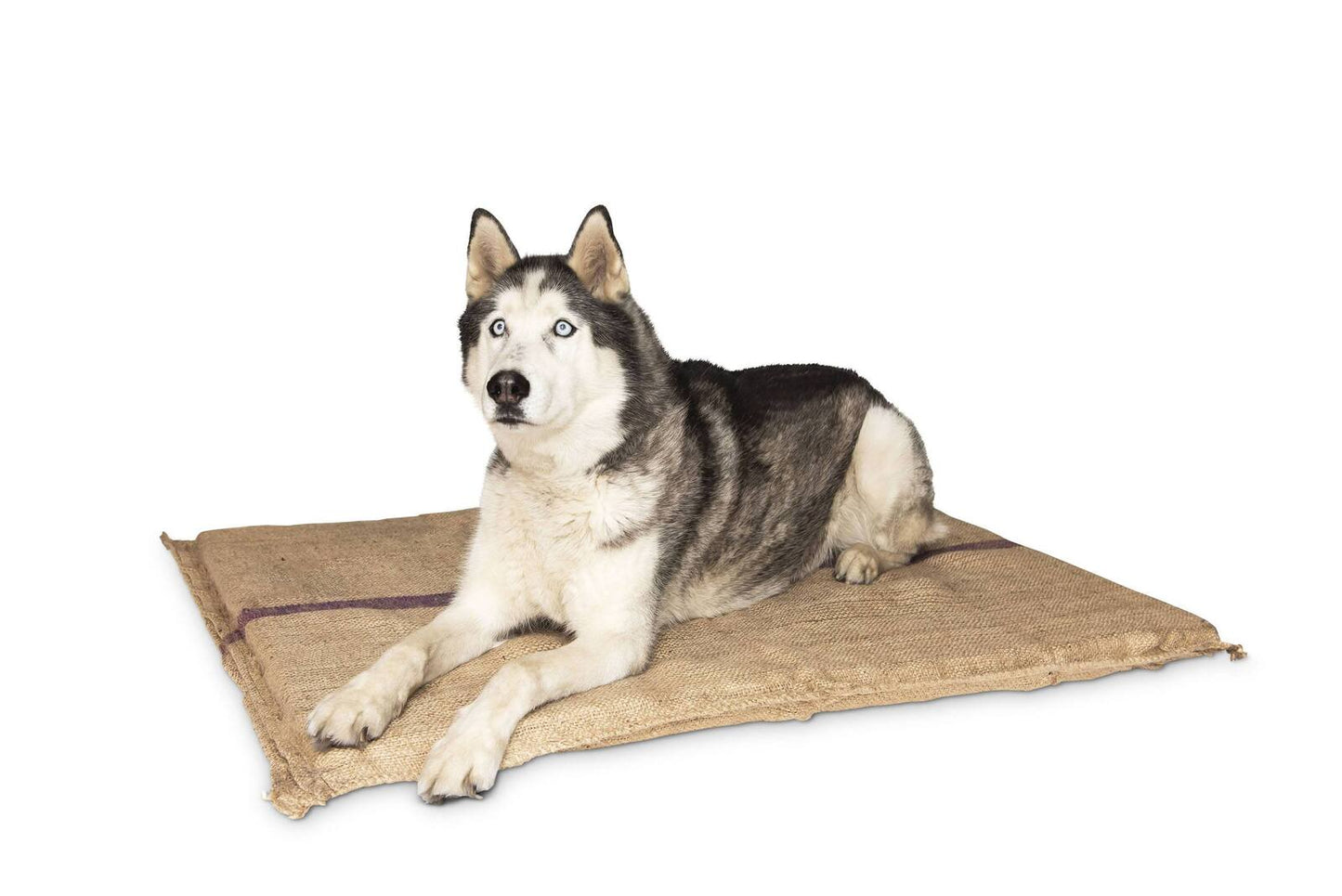 YES4PETS Jumbo Hessian Pet Dog Puppy Bed Mat Pad House Kennel Cushion With Foam 110 x 78 cm