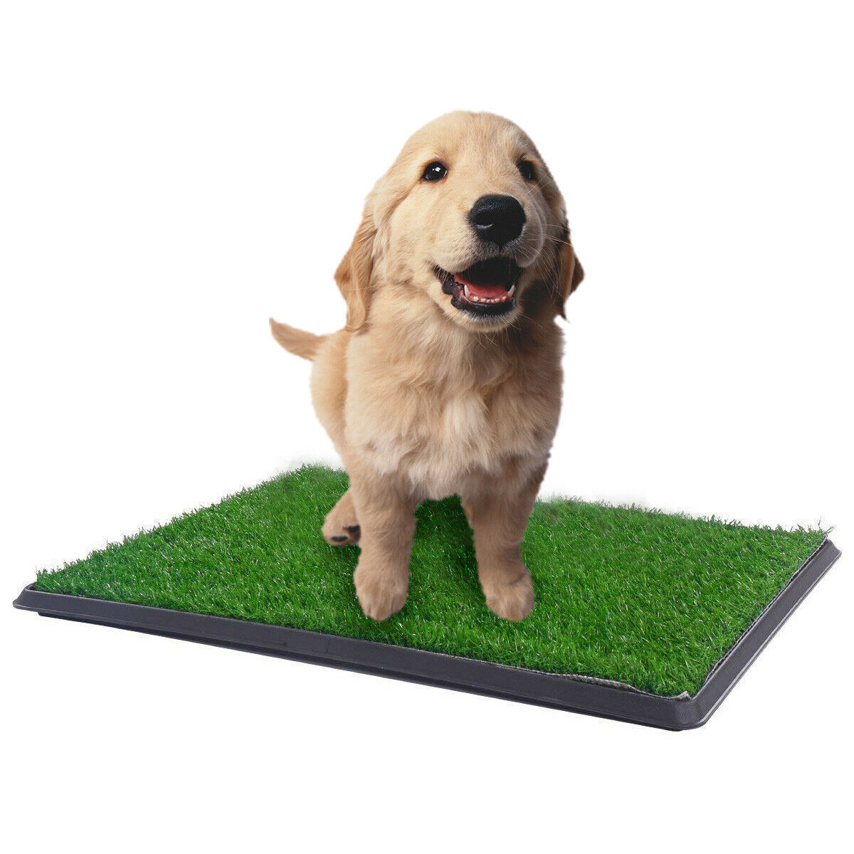 YES4PETS XL Indoor Dog Puppy Toilet Grass Training Mat Loo Pad Potty W 3 Grass