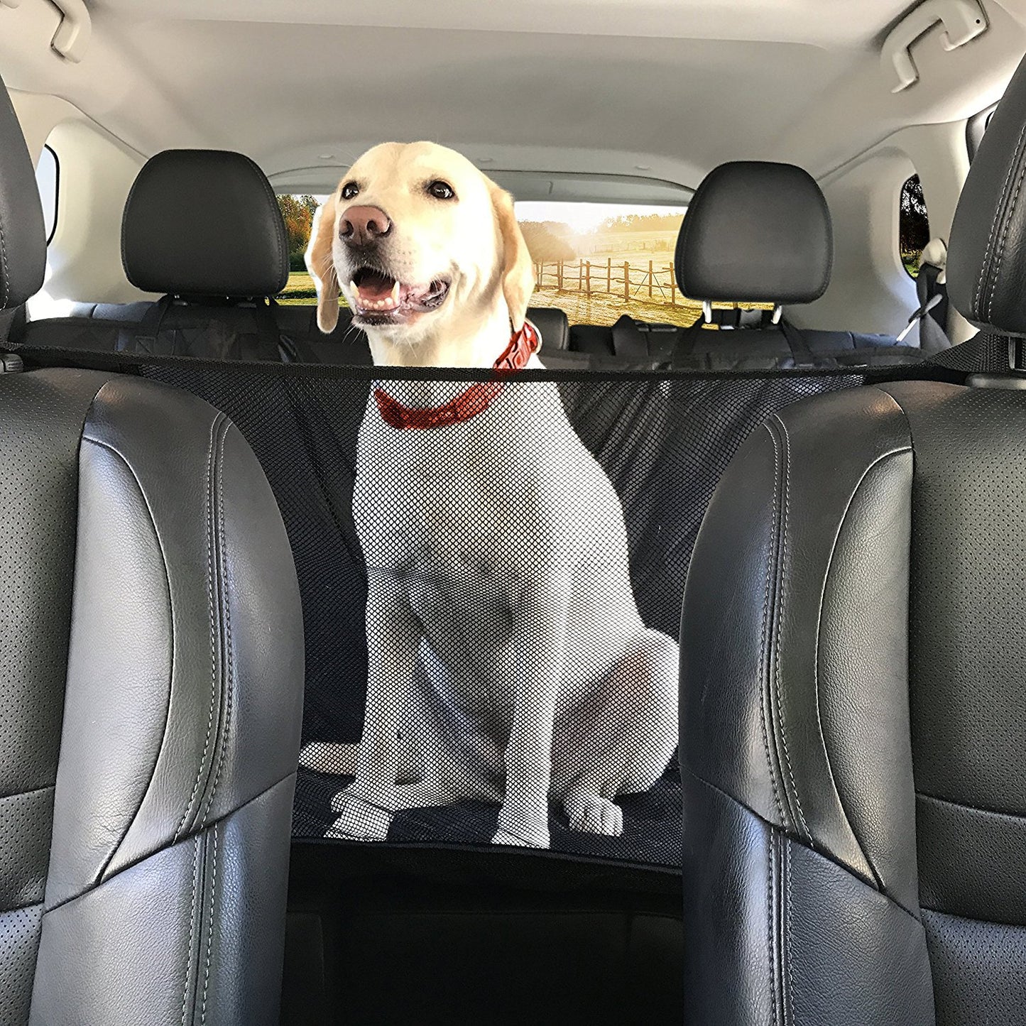 Pawfriends Pet Seat Cover for Dogs Car Back Seat Anti Dirty Waterproof Pet Hammock Mat-L
